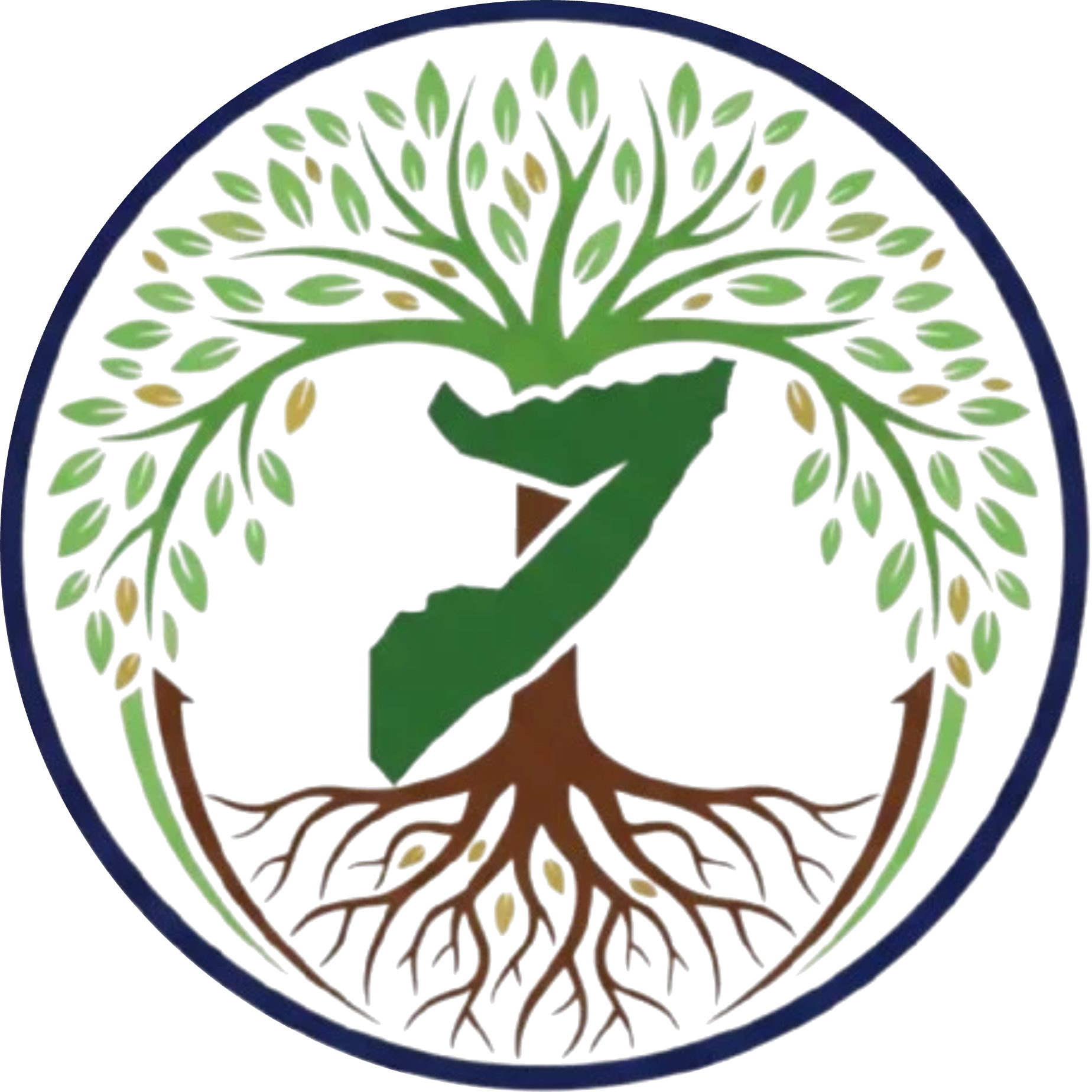 SDS logo