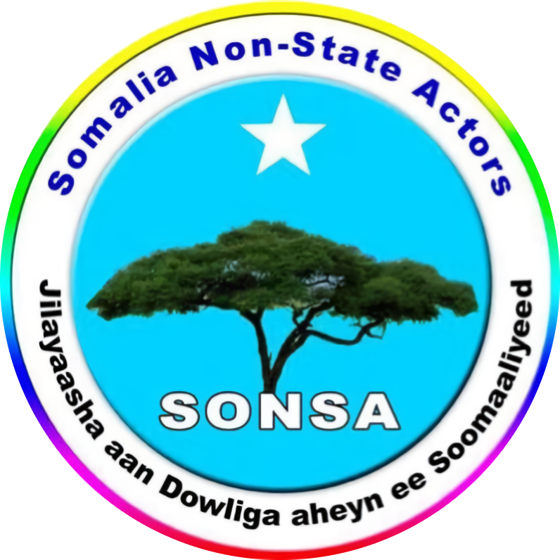 SONSA — Somalia Non-State Actors